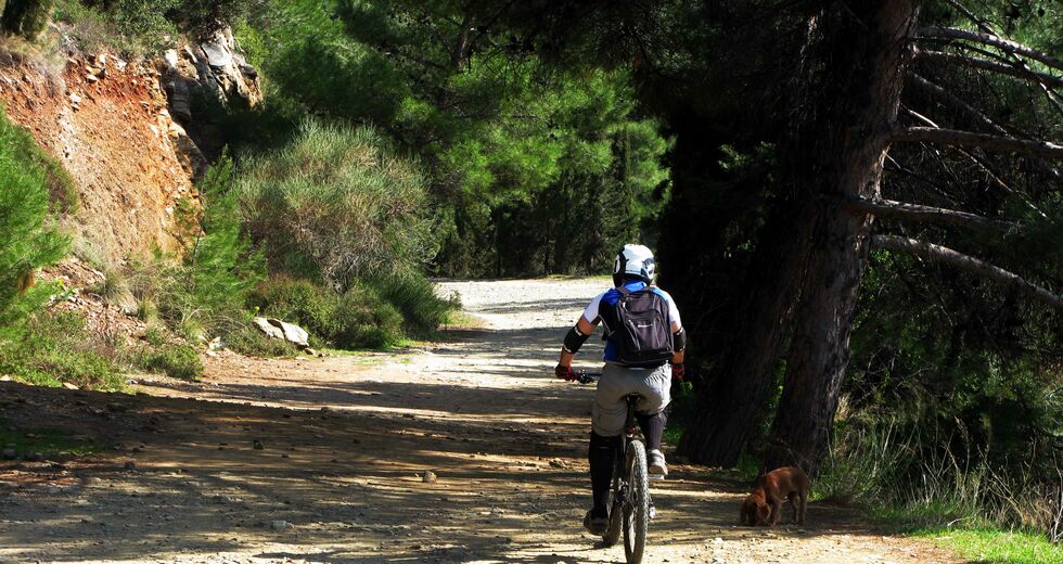 Μελέτη με υπαναχωρήσεις στην προστασία του Υμηττού
