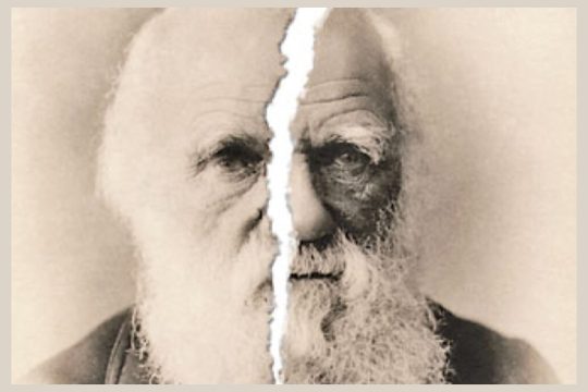 Εξελικτικές παρανοήσεις