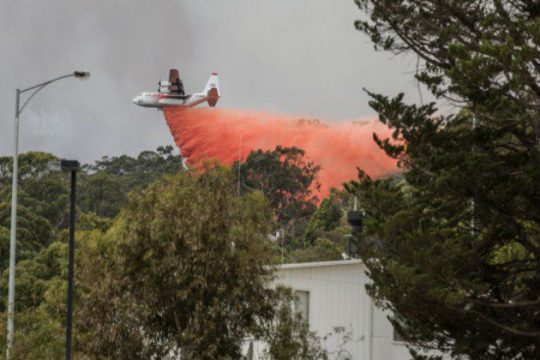 Αυστραλία: Υπό έλεγχο όλες οι φωτιές στη Νέα Νότια Ουαλία
