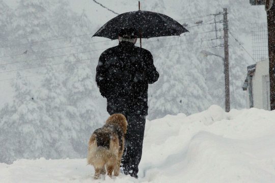 Δέκα βαθμοί κάτω από το μηδέν στο Νευροκόπι