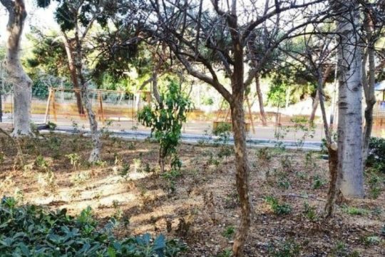 Πριν το Πάσχα παραδίδεται το επόμενο κομμάτι του Πάρκου Γεωργιάδη