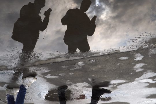 Κράτος παραφροσύνης