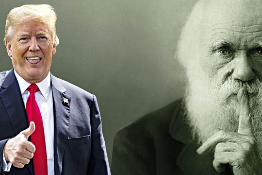Δαρβίνος ή ξερό ψωμί