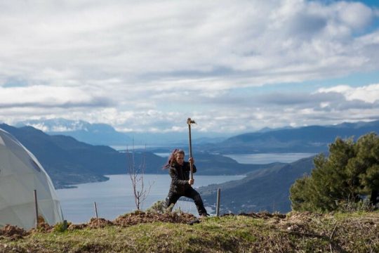 Οι σπόροι της γνώσης και τα βρώσιμα δάση