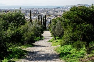 Ιδιωτικά «μονοπάτια» μέσα σε πράσινα φιλέτα
