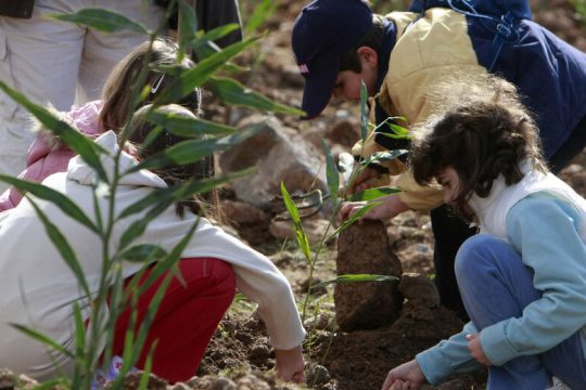 Στη δενδροφύτευση παράνομης χωματερής προχώρησε ο Δήμος Αποκορώνου
