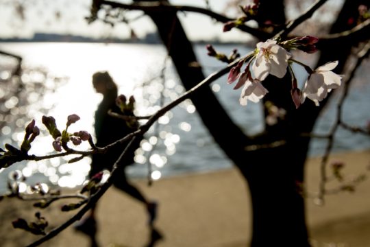 Απομόνωση ή δημιουργική μοναξιά