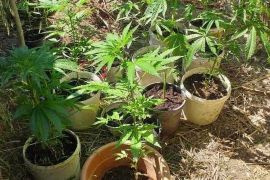 Λασίθι: Δυο συλλήψεις για ναρκωτικά στον Άγιο Νικόλαο