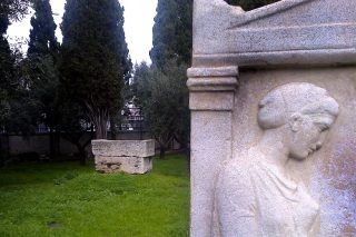 ΠροσγεΙΩΣΗ VII