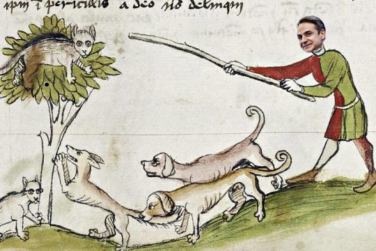 Θάνατος στις γάτες!