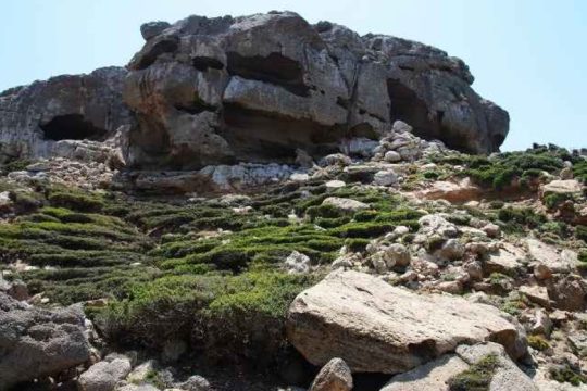 Επιτυχής επαναξιολόγηση του Γεωπάρκου της Σητείας