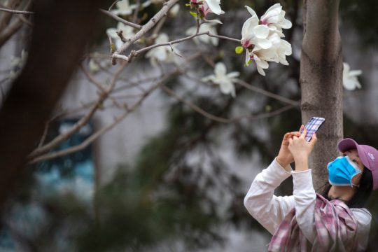 Σε απομόνωση 2,5 δισ. άνθρωποι, ενώ η πανδημία επελαύνει
