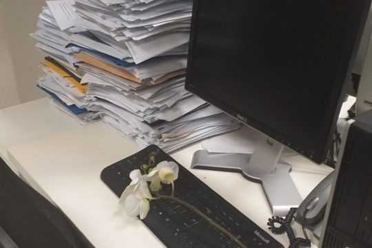 Συλλυπητήρια για τη Χαρά