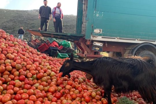 Για ζωοτροφές τα κηπευτικά της Κρήτης λόγω κορονοϊού