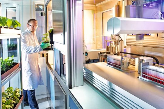 Η Bayer ηγείται της καινοτομίας και της βιωσιμότητας στη Γεωργία