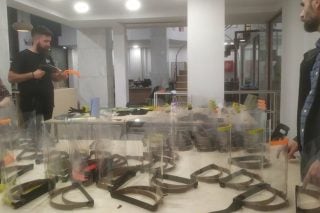 «Tρισδιάστατη» αλληλεγγύη από την κοινότητα των makers
