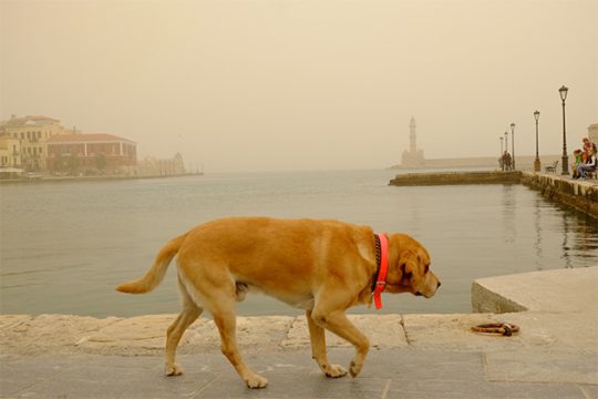 Σκόνη και νοτιάδες σαρώνουν την Κρήτη – Ζημιές σε θερμοκήπια