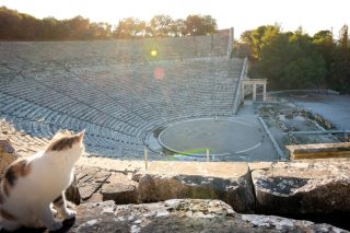 Δύναμη δημοκρατίας και αλληλεγγύης