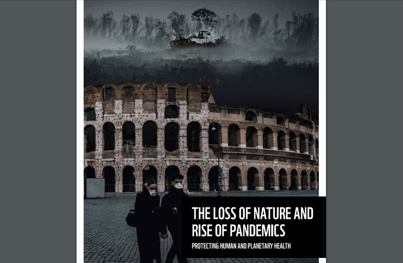 WWF: Νέες πανδημίες φέρνει η υπερεκμετάλλευση της φύσης