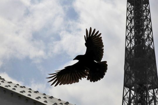 Από το δίκαιο της ανάγκης στο αναγκαίο αύριο