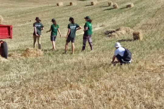 Η Greenpeace ζητά μέτρα για ανθεκτικό και βιώσιμο μοντέλο παραγωγής τροφίμων
