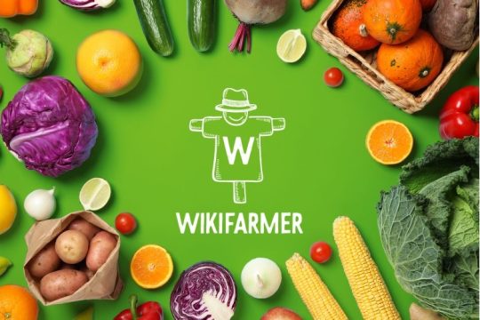 Wikifarmer: Ο «Έλληνας αγρότης» που κατακτά τον κόσμο φέρνει τα προϊόντα του στην πόρτα σου