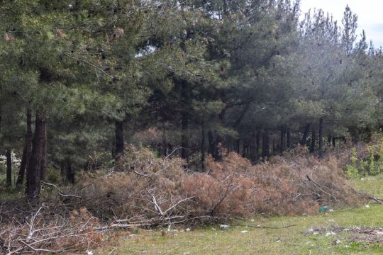 Αντιπαραθέσεις στα «ερείπια» του Σέιχ Σου