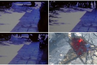 Ο ξυλοδαρμός στα Σεπόλια όπως τον είδε η κάμερα