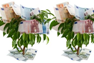Η αγωνία του νεόπτωχου κάτω από το λεφτόδεντρο