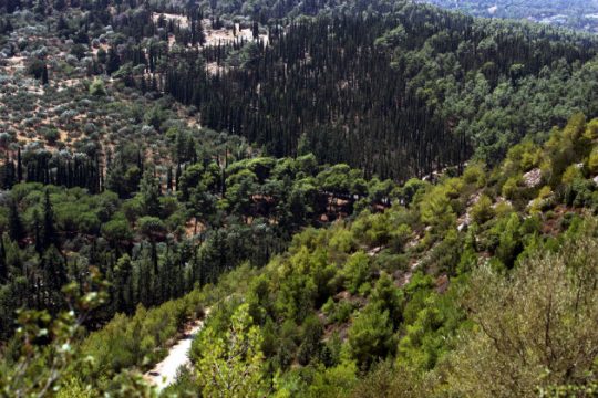 Επιδημίες, πόλεμοι και ολίγος Καβάφης