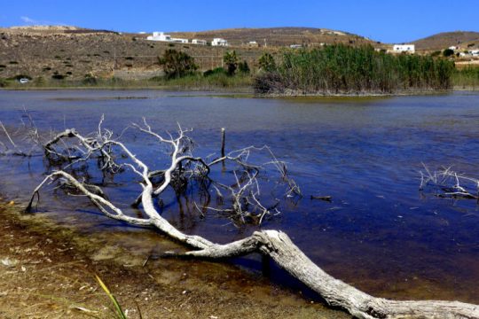 Η Κομισιόν καλεί την Ελλάδα να εφαρμόσει το ενωσιακό δίκαιο για τις περιοχές Natura