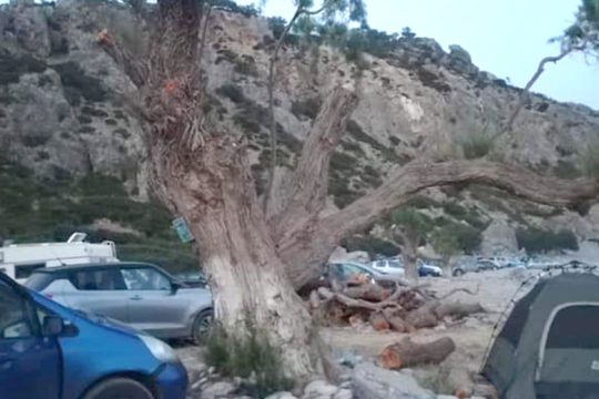 Σούγια: Εκοψαν τα δέντρα για να διώξουν τους κατασκηνωτές