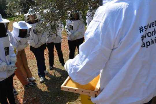 H Παγκόσμια Ημέρα της Μέλισσας έφτασε