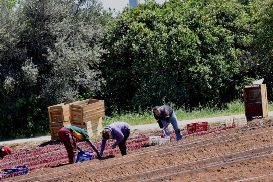 Το προσωρινό είναι το νέο «κανονικό»