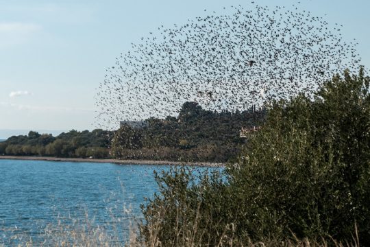Μετακινήσεις και προς την Εύβοια από τη Δευτέρα, μόνο οδικώς