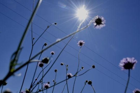 Μέχρι τους 39 βαθμούς Κελσίου σήμερα ο υδράργυρος