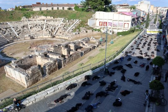Τα αντισώματα της τέχνης ως αντίσταση στην κοινωνική απομόνωση των καλλιτεχνών