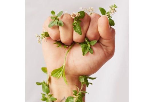Η L’Oréal ανακοινώνει τη δημιουργία του προγράμματος «L’Oréal for the future»