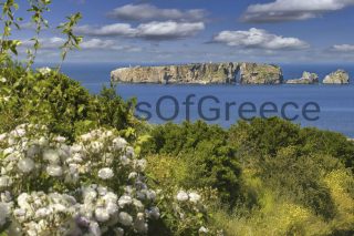 Πύλος – Γιάλοβα: Η άνοιξη στη Μεσσηνία