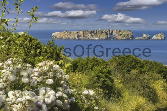 Πύλος – Γιάλοβα: Η άνοιξη στη Μεσσηνία