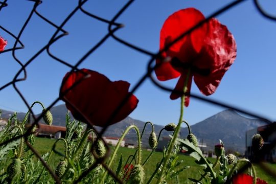 Και με τα χίλια βάσανα…