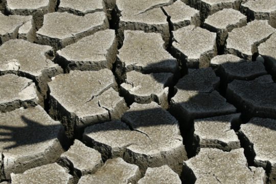 Βιοποικιλότητα και πανδημίες