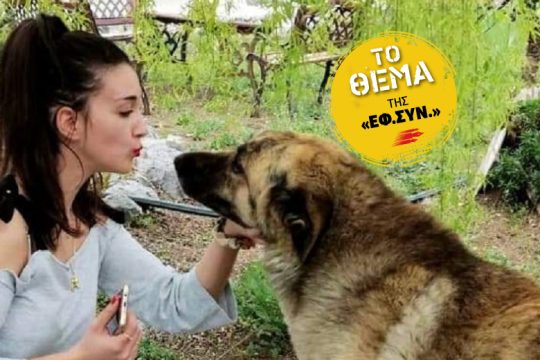Ακόμα ένα μακροβούτι για τη «γενιά της πατητής»