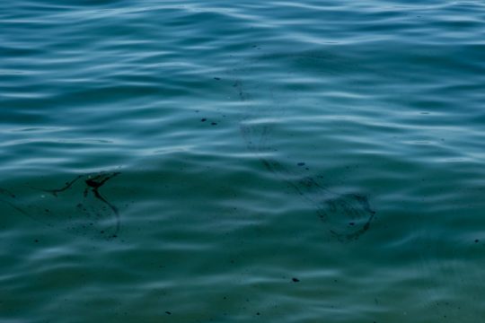 Ρύπανση από πετρελαιοειδή στο λιμάνι του Πειραιά