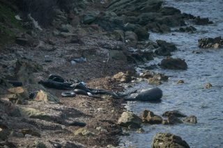 Αθωώθηκε ο Αφγανός που κατηγορήθηκε ως διακινητής προσφύγων