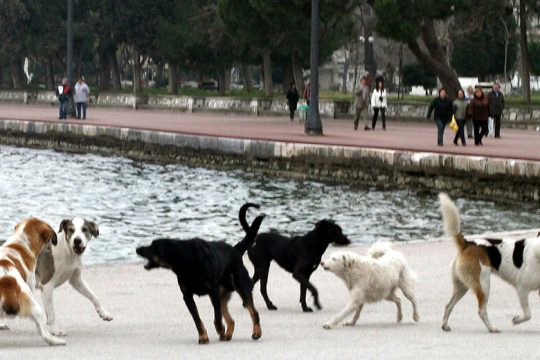 Κάποιος πείραξε τη γενική συσκευή του κόσμου και χαμήλωσε τον ήχο (11 Μαΐου)