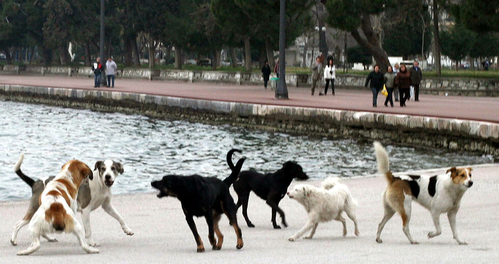 Κάποιος πείραξε τη γενική συσκευή του κόσμου και χαμήλωσε τον ήχο (11 Μαΐου)