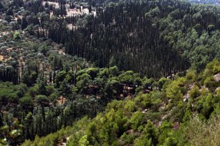 Στον Υμηττό ενάντια στο lockdown