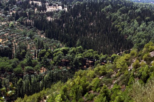 Στον Υμηττό ενάντια στο lockdown