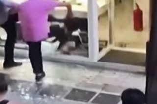 Στις 21/10 ξεκινά η δίκη για τη δολοφονία του Ζακ